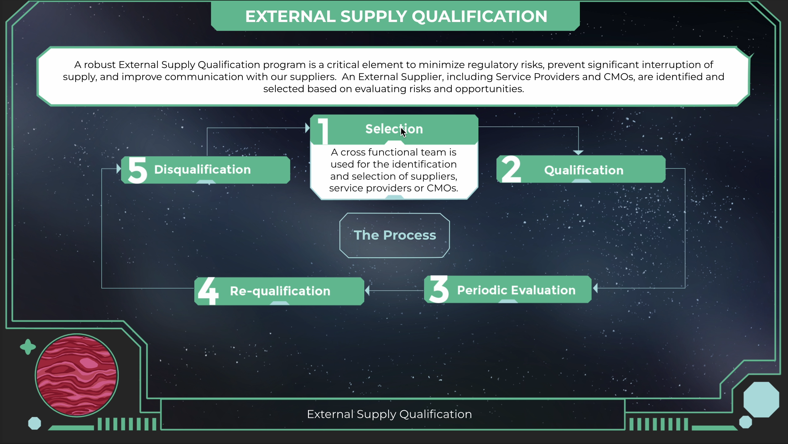 ulti-Tiered information click reveal interaction created using Storyline